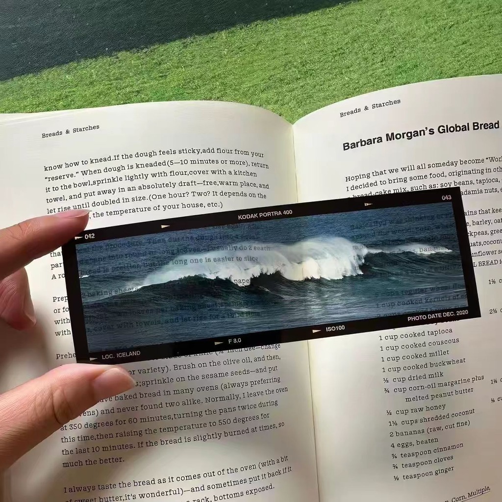 Sea'S Memoirs Ocean Theme Film - Dried Flower Bookmark review and price