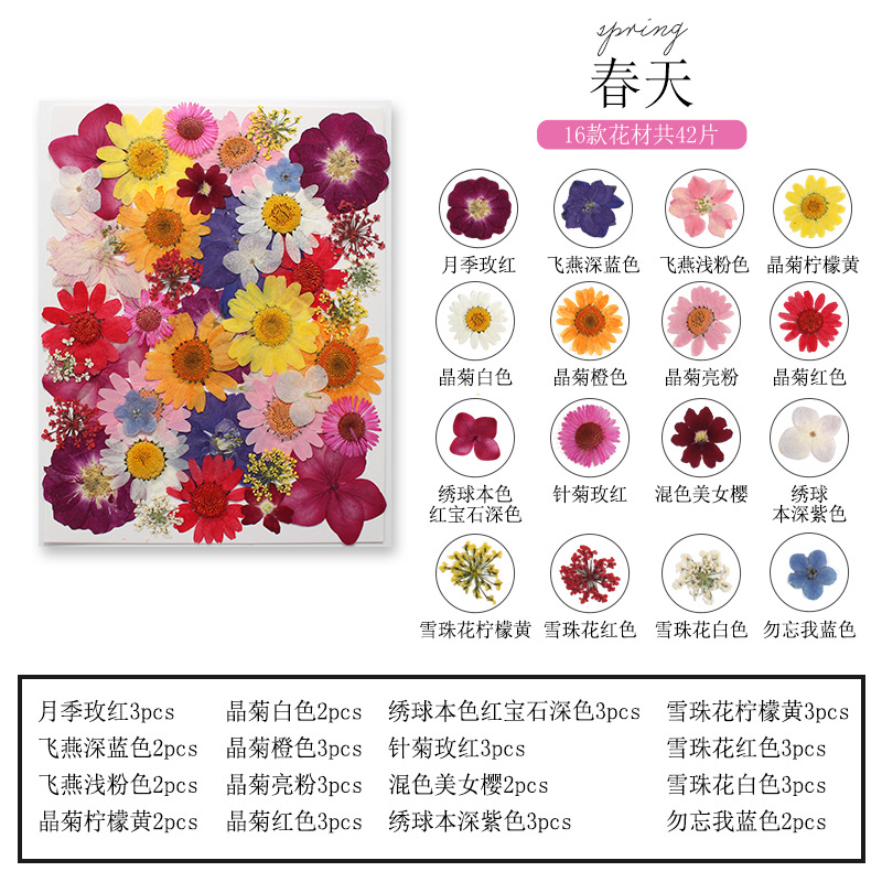 Natural Plant Flower and Leaf  - Dried Flower Bookmark review and price